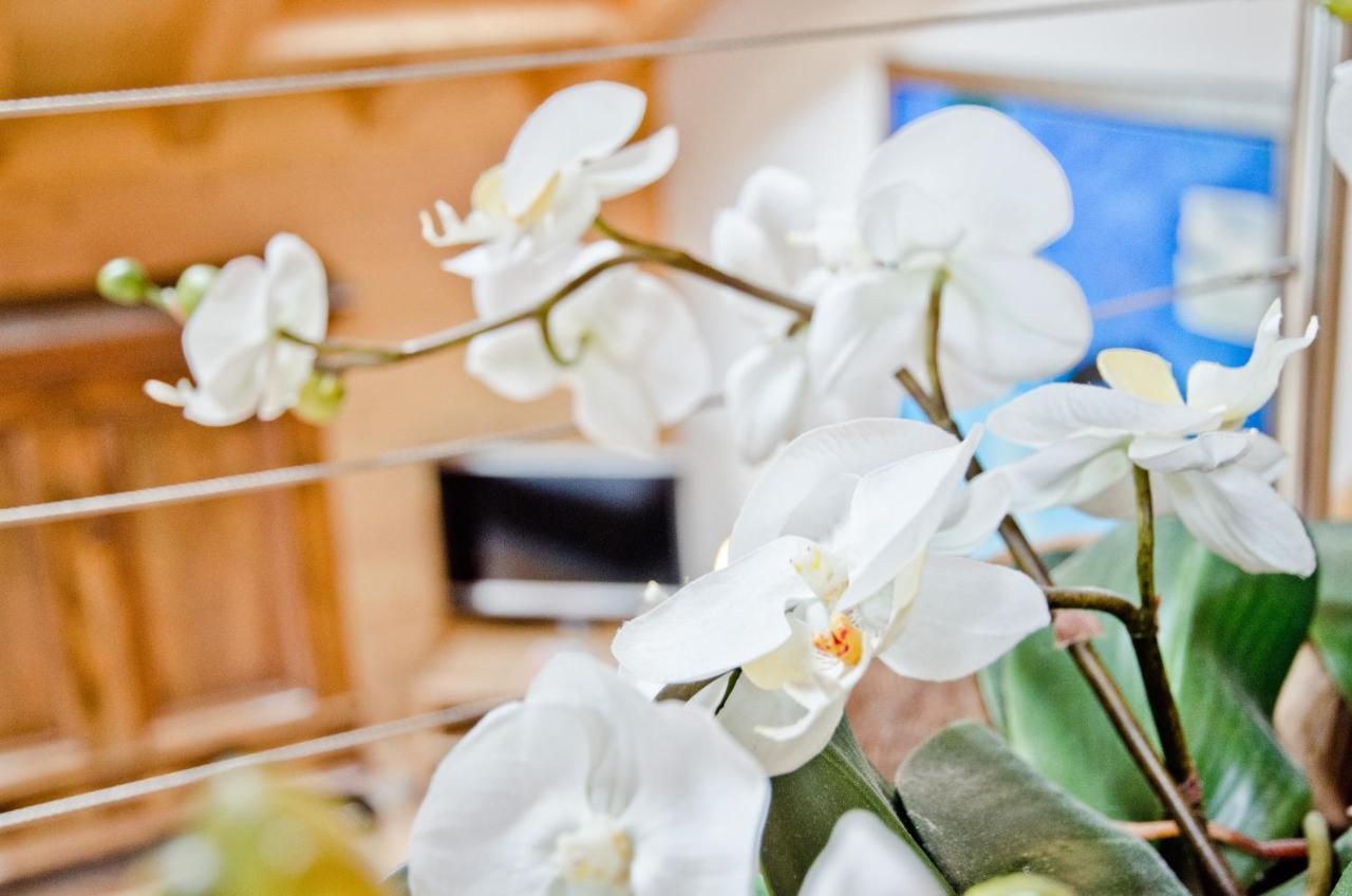 Apartment Baergrose - Griwa Rent Ag Γκρίντελβαλντ Εξωτερικό φωτογραφία